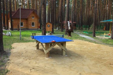 Зеленый бор