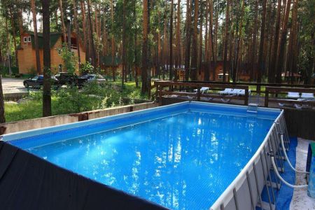 Зеленый бор