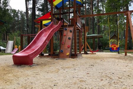 Зеленый бор