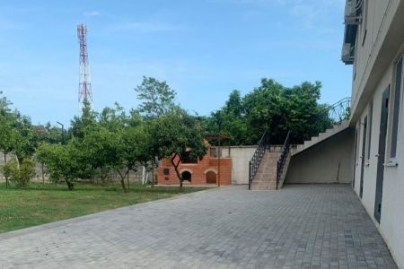 Внешний вид