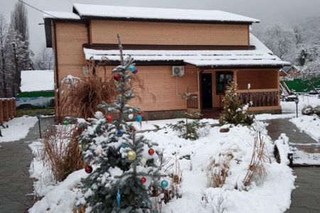 Внешний вид