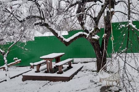 Внешний вид