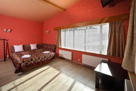 Шашки, шахматы