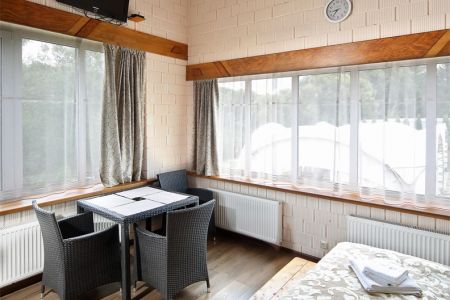 Шашки, шахматы