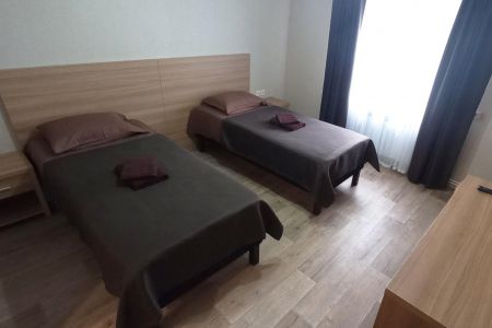 Стандартный 2-местный 1-комнатный TWIN