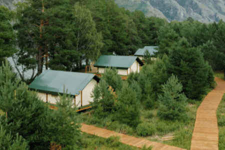 Территория