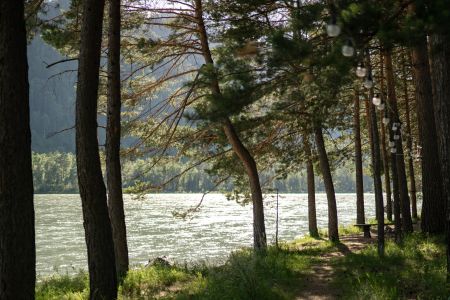 Внешний вид