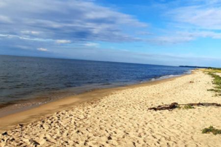 Домик 4-местный (семейный)