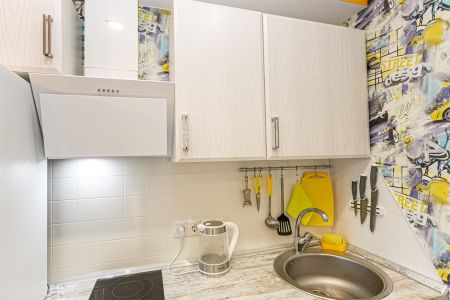 Квартира 4-местный 1-комнатный (Green House)