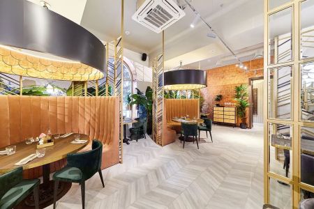 Внешний вид