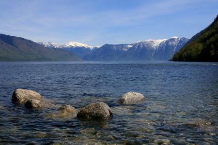 Золотая рыбка