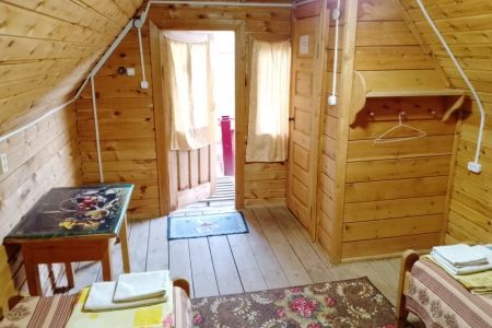 Золотая рыбка