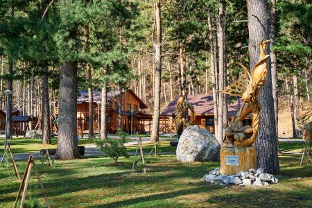 Внешний вид