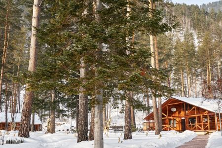 Внешний вид