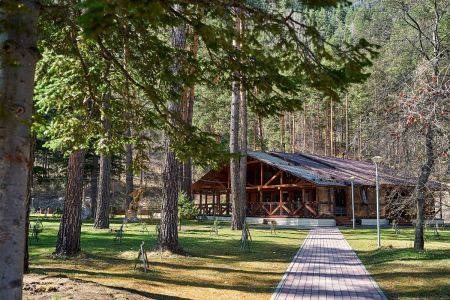 Внешний вид