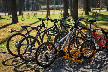 Внешний вид