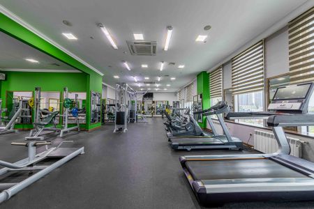 Внешний вид