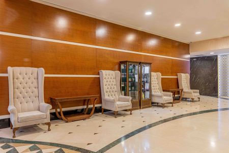 Внешний вид