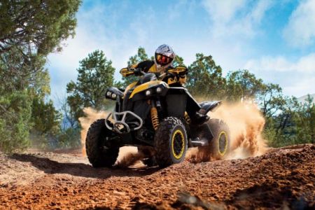 Внешний вид