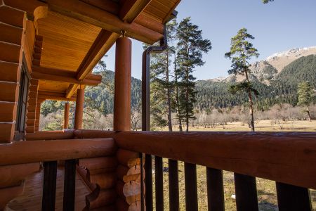 Внешний вид