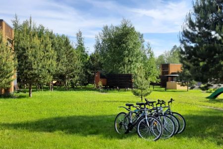 Территория