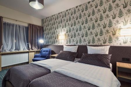 Комфорт 2-местный (с доп. местом)