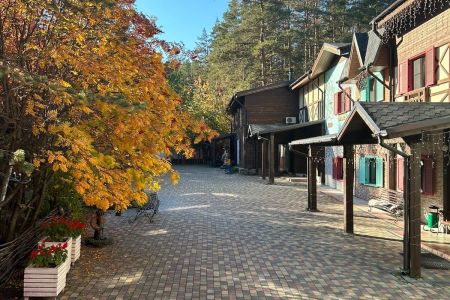 Внешний вид