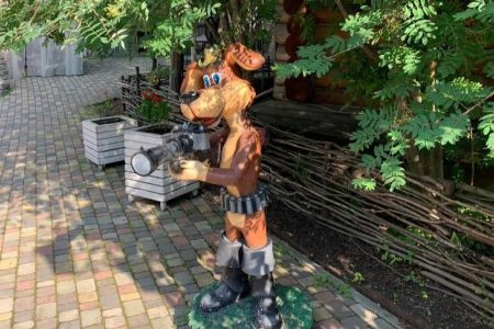 Внешний вид