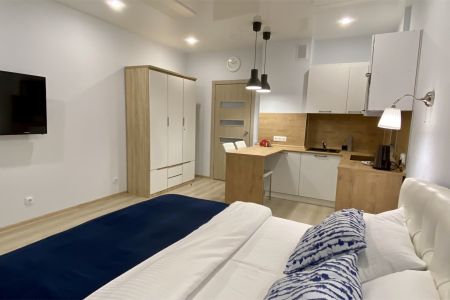 Студия 2-местный 1-комнатный DBL