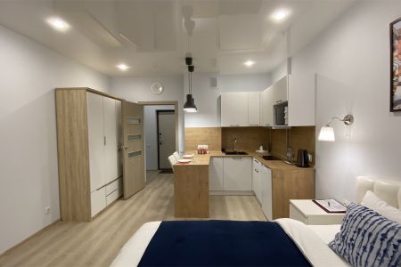 Студия 2-местный 1-комнатный DBL