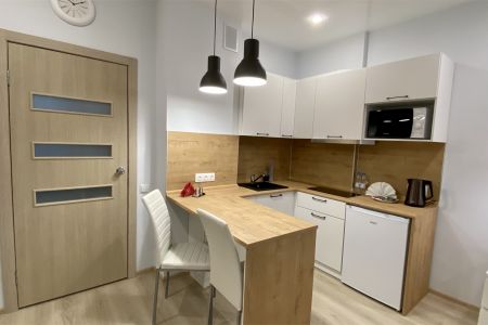 Студия 2-местный 1-комнатный DBL