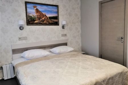 Эконом 2-местный DBL