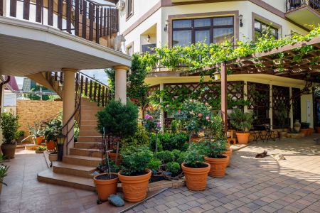 Внешний вид