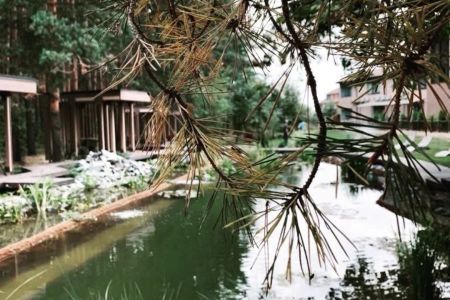 WhatsApp Image 2022-09-19 at 17.18.08 (1)