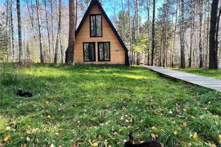 Парк-отель Хвоя