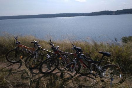 Территория