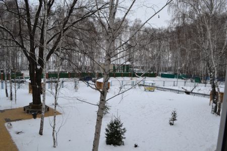 Территория