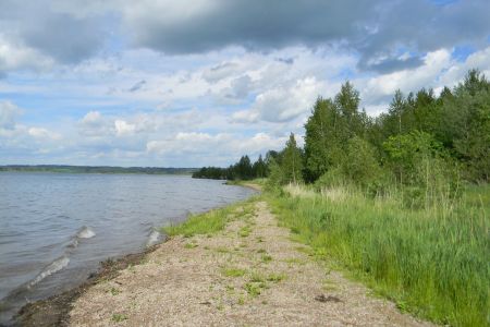 Территория