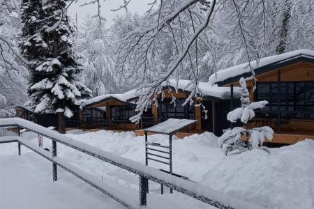 637822502329101134-1892d119-3833-4e1b-a5e0-5e372f77897a