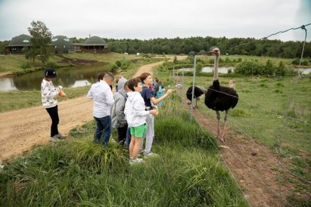 Вольерное хозяйство