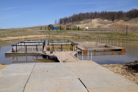 Рыбалка. Форелевое хозяйство