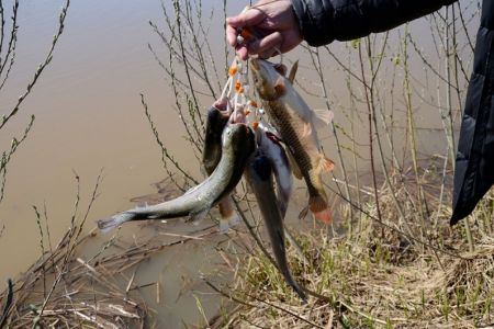 Рыбалка. Форелевое хозяйство