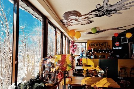 Внешний вид