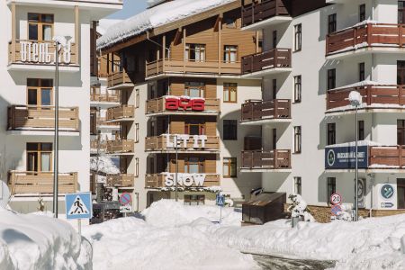 Внешний вид, зима