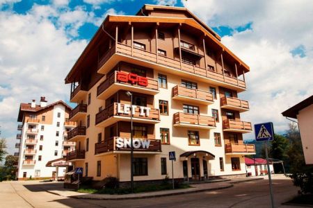 Внешний вид, зима