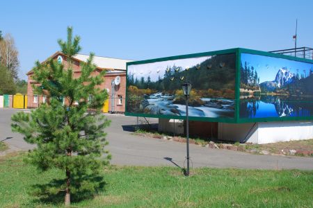 Сосновый бор