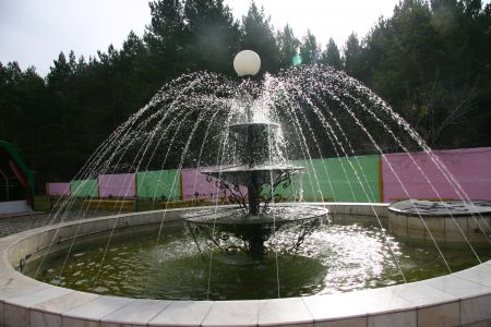 Сосновый бор