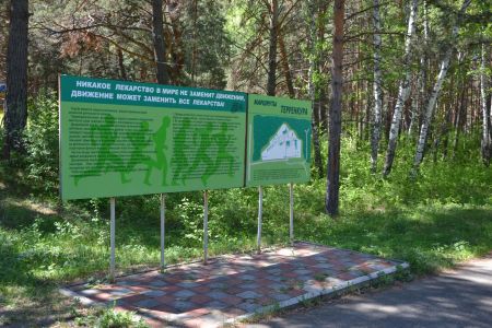 Сосновый бор