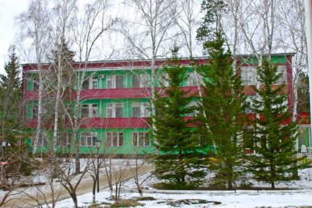 Сосновый бор