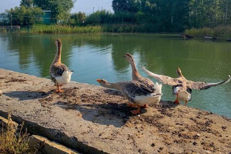 Корпус ТЕРЕМ